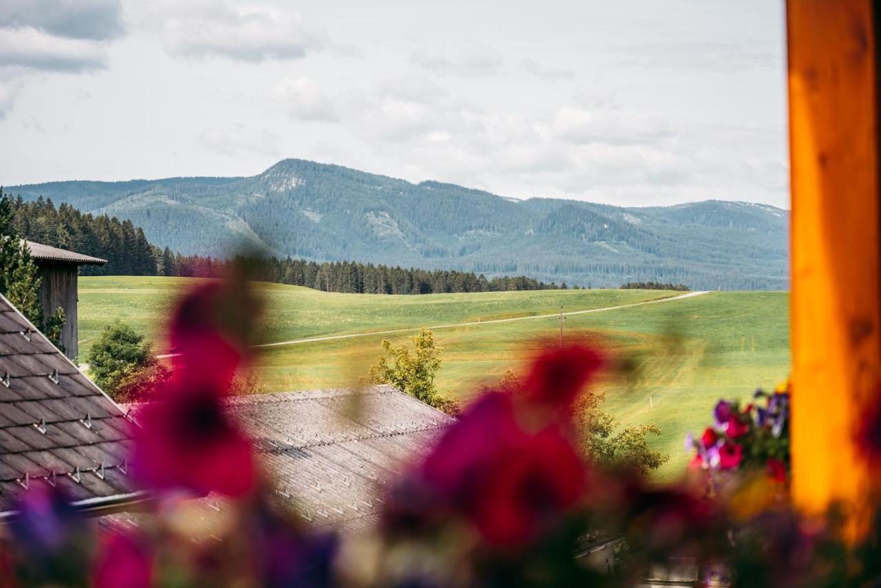 Wander- Und Wellnesshotel Kanzler Bad Mitterndorf Exterior photo